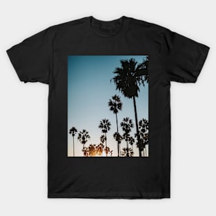 Palm trees, Tropical landscape palms, Sky, Nature print T-Shirt